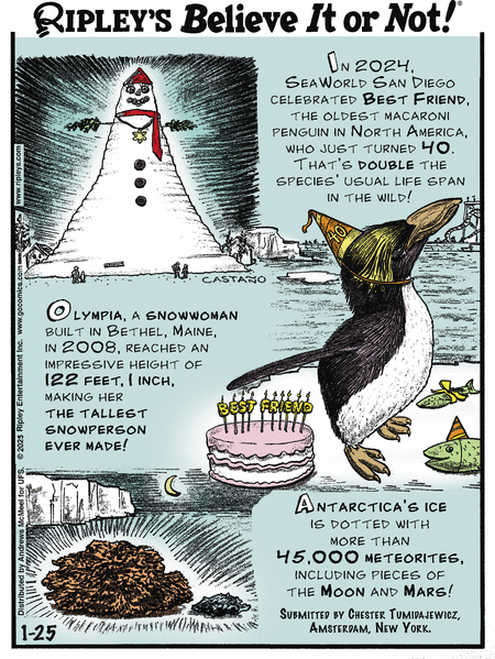 Ripley's Believe It or Not Comic Strip for January 25, 2025 