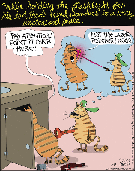 The Flying McCoys Comic Strip for January 11, 2025 