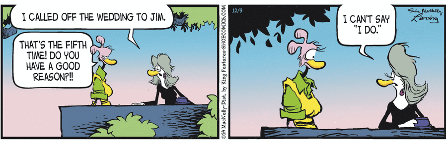 Shoe Comic Strip for December 09, 2024 