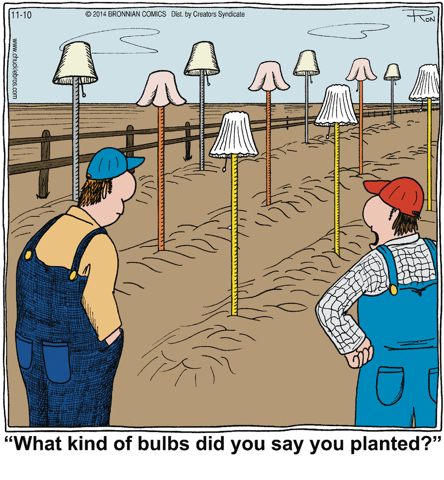 Chuckle Bros Comic Strip for November 10, 2014 