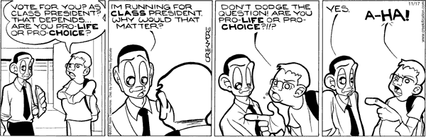 Maintaining Comic Strip for November 17, 2007 