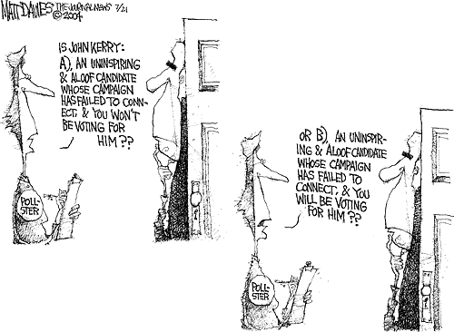 Matt Davies Comic Strip for July 20, 2004 