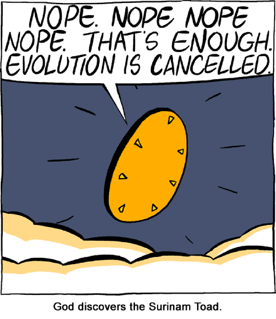 Saturday Morning Breakfast Cereal Comic Strip for August 20, 2016 