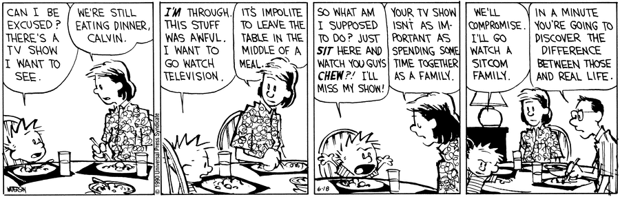 Calvin and Hobbes Comic Strip for June 18, 1990 