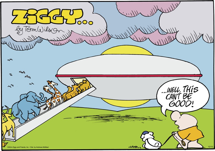 Ziggy Comic Strip for December 15, 2024 