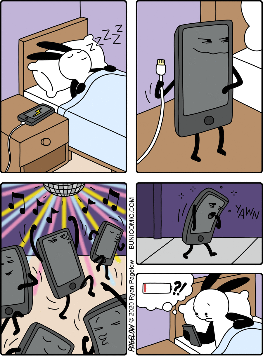 Buni Comic Strip for August 12, 2020 