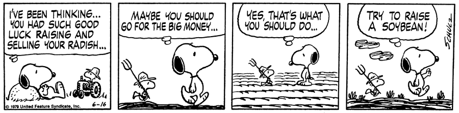 Peanuts Comic Strip for June 16, 1979 