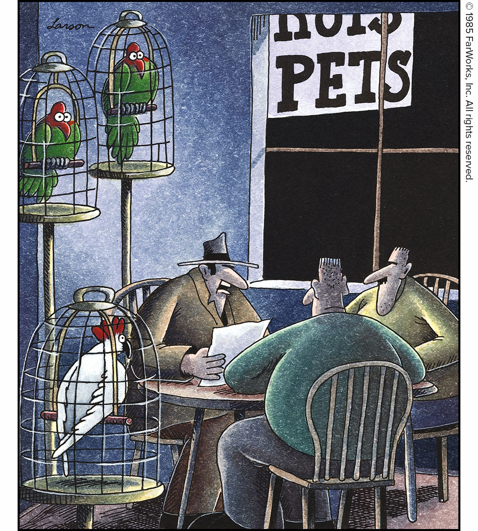 PETS