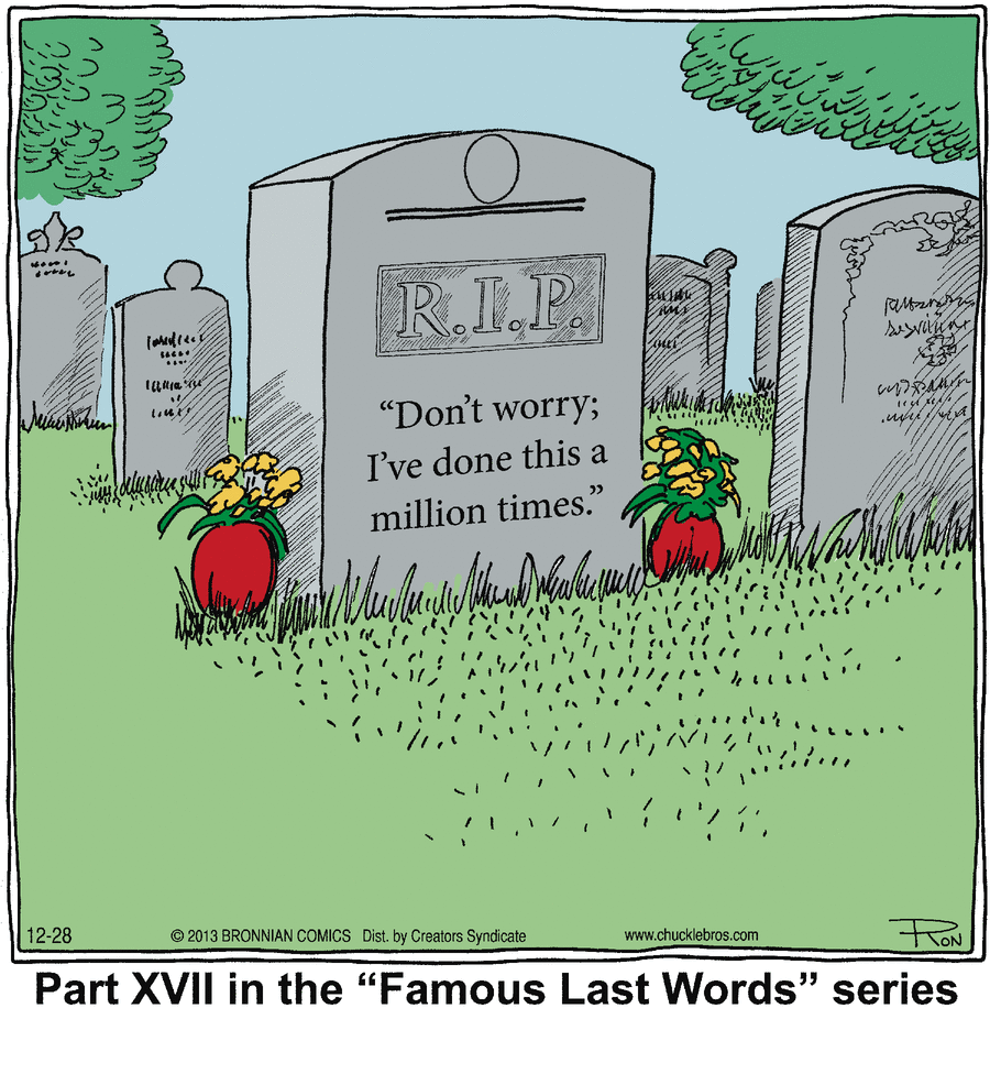 Chuckle Bros Comic Strip for December 28, 2013 