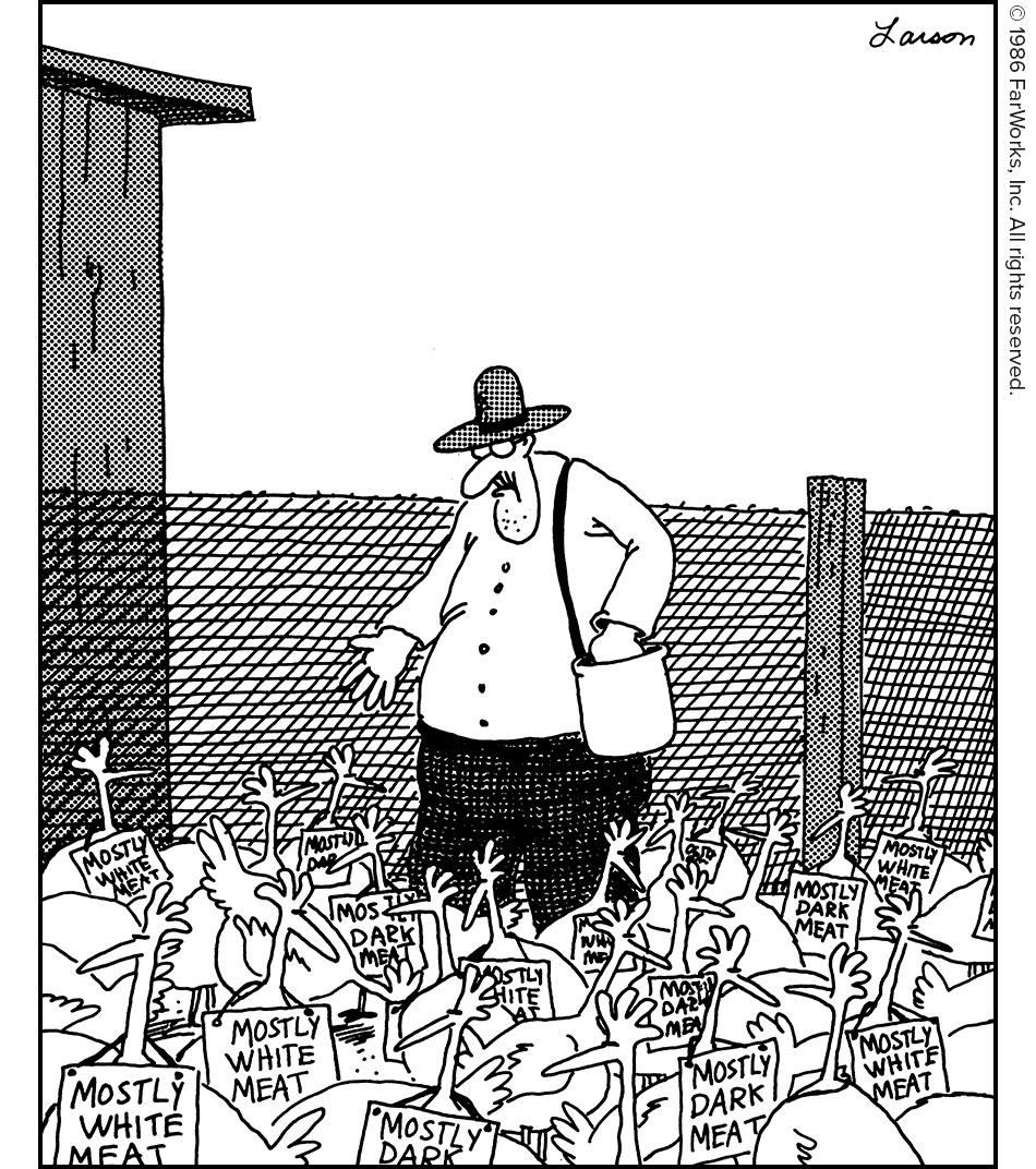 MOSTLY WHITE MEAT / MOSTLY DARK MEAT