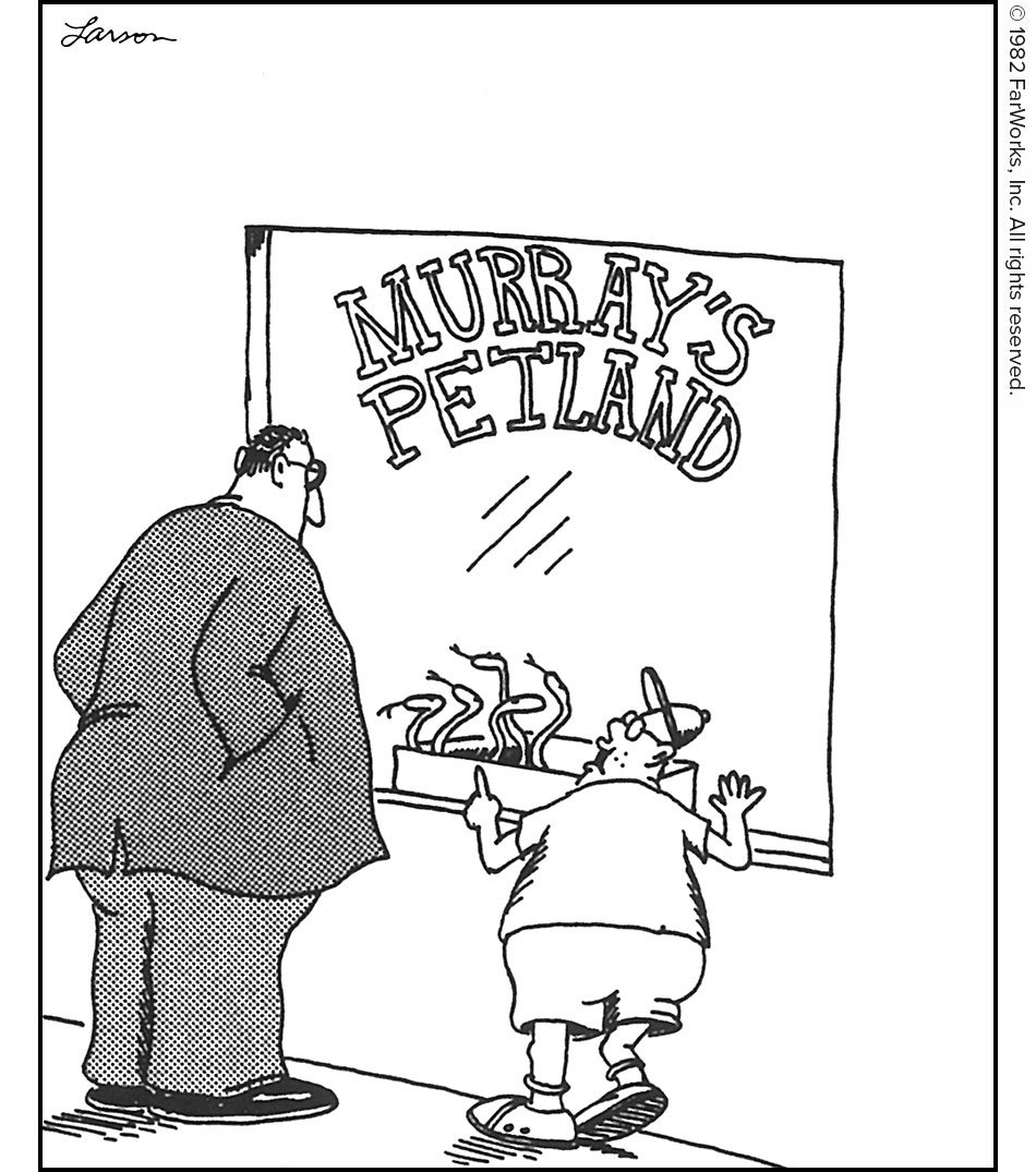 MURRAY’S PETLAND