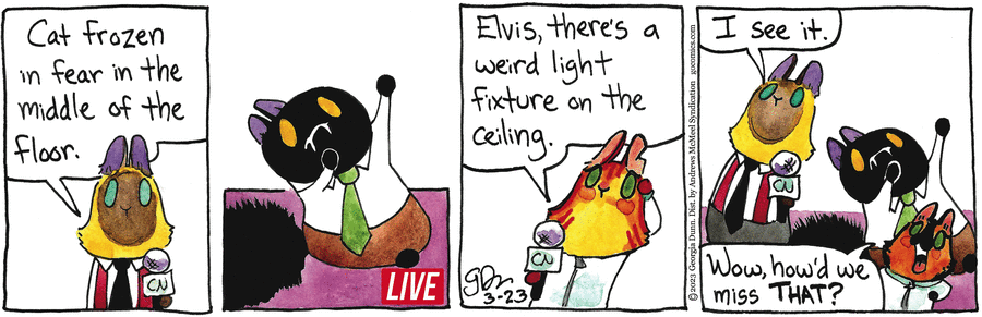 Breaking Cat News Comic Strip for March 23, 2023 