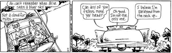 The Elderberries Comic Strip for July 10, 2007 
