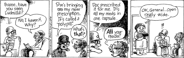 The Elderberries Comic Strip for January 29, 2005 