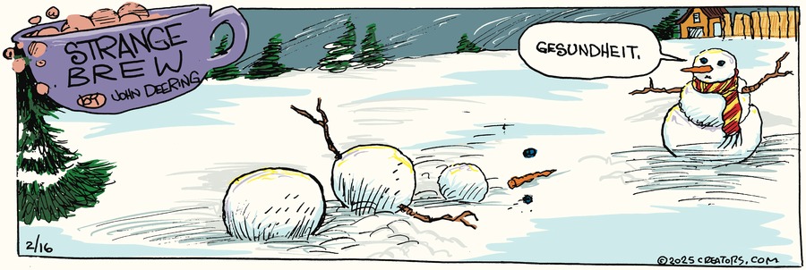 Strange Brew Comic Strip for February 16, 2025 