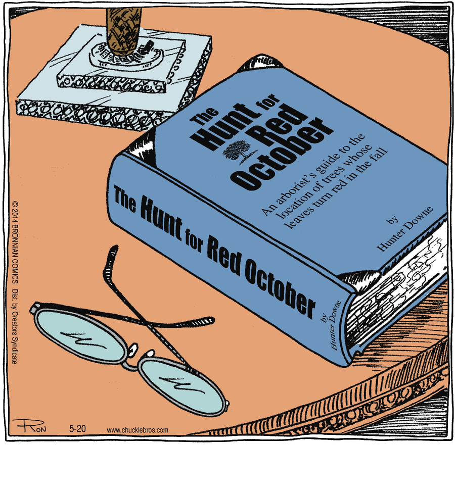 Chuckle Bros Comic Strip for May 20, 2014 