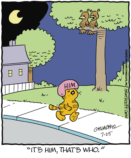 Heathcliff Comic Strip for July 25, 2024 