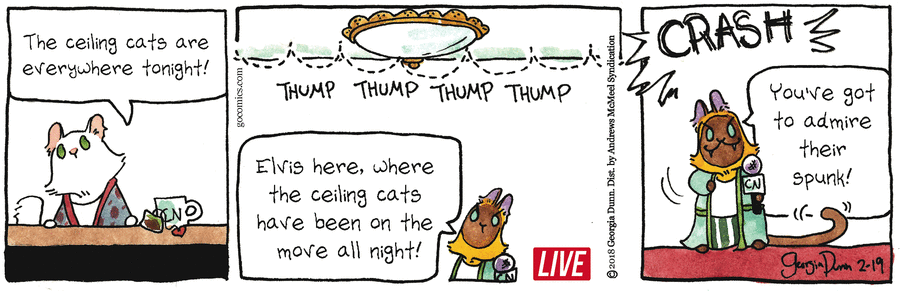 Breaking Cat News Comic Strip for February 19, 2018 