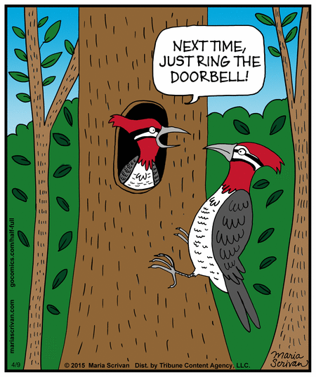 Half Full Comic Strip for April 09, 2015 