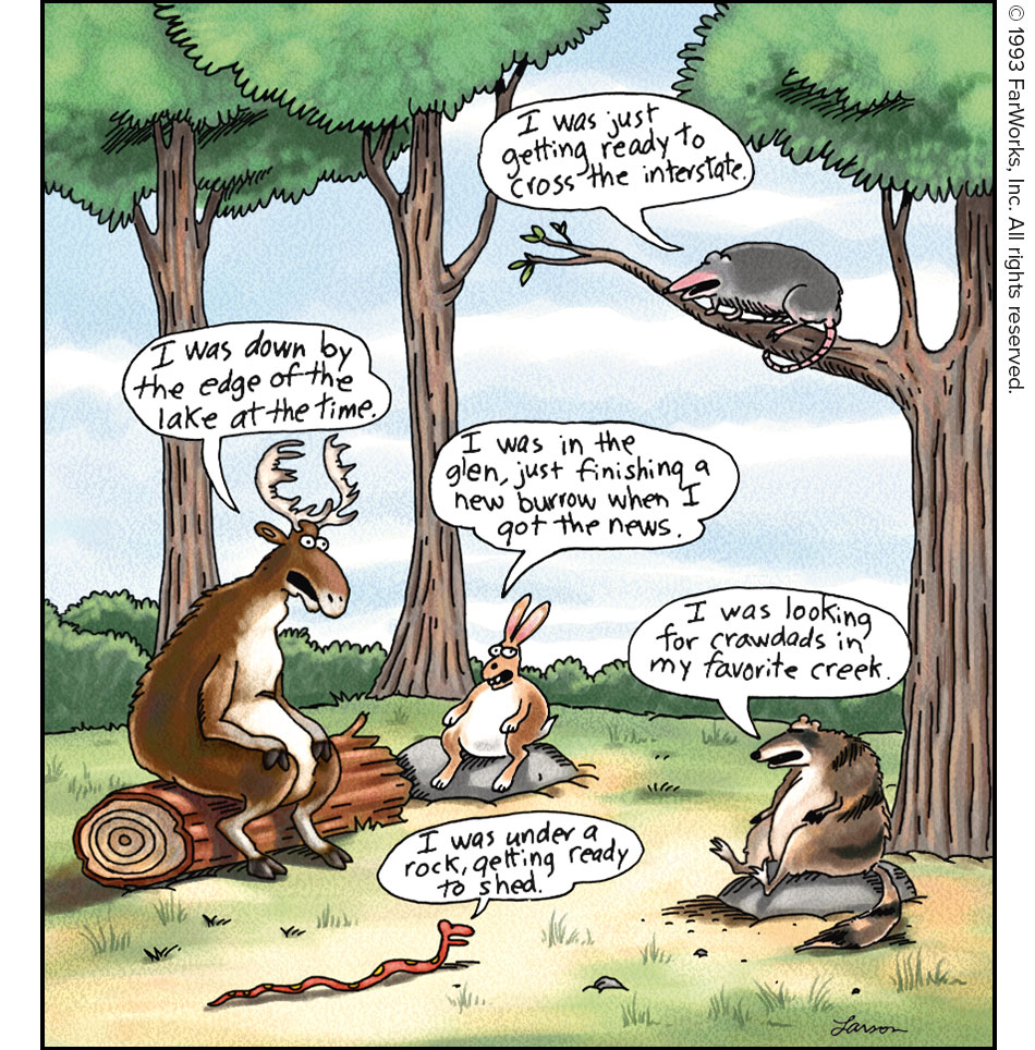 I was down by the edge of the lake at the time. / I was just getting ready to cross the interstate. / I was in the glen, just finishing a new burrow when I got the news. / I was looking for crawdads in my favorite creek. / I was under a rock, getting ready to shed.