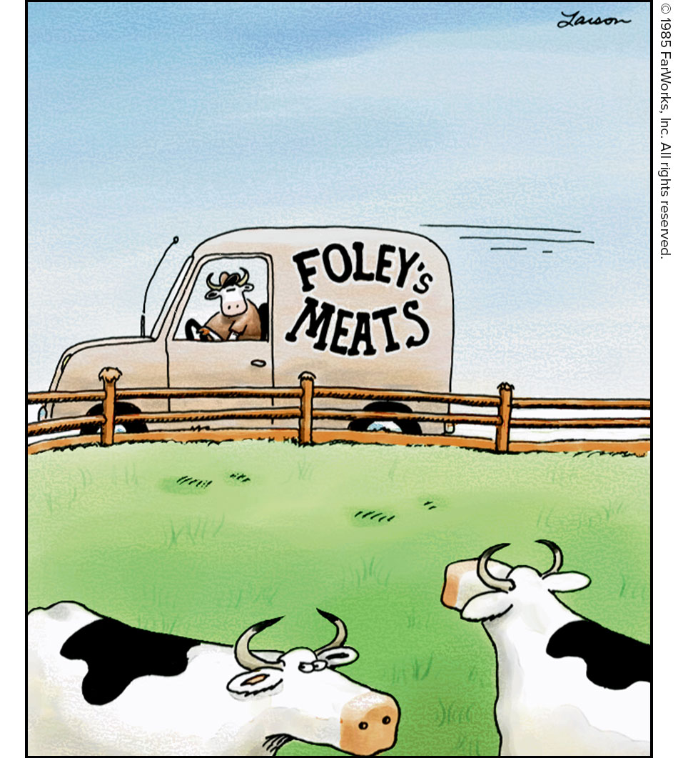 FOLEY"S MEATS 