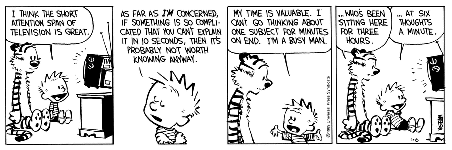Calvin and Hobbes Comic Strip for January 06, 1989 