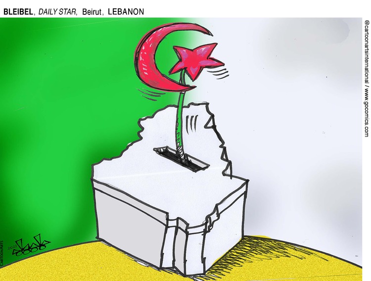 ViewsAfrica Comic Strip for June 13, 2021 