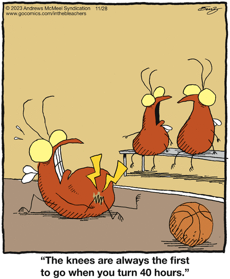 In the Bleachers Comic Strip for November 28, 2023 