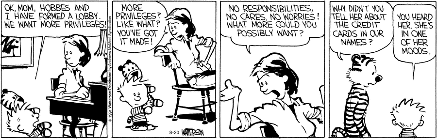 Calvin and Hobbes Comic Strip for August 20, 2021 